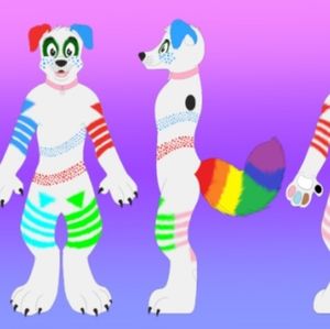 Meet your Posher, Lindsey